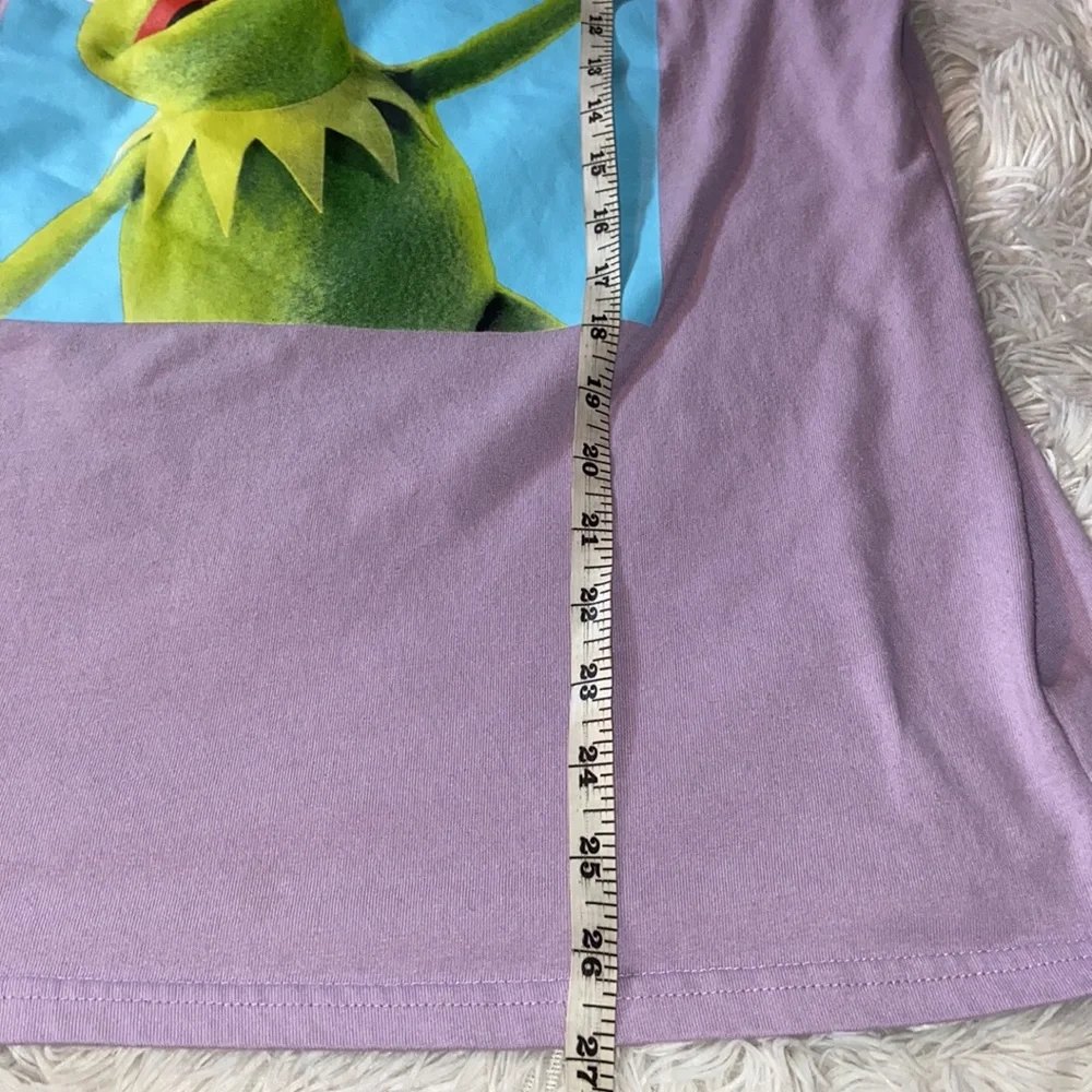Disney The Muppets Kermit Purple Long Sleeve Graphic Sweatshirt Small